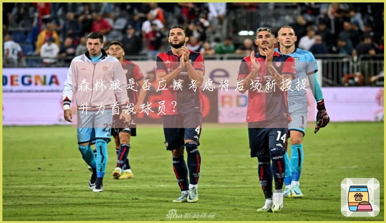 森林狼是否应该考虑将后场新援提升为首发球员？